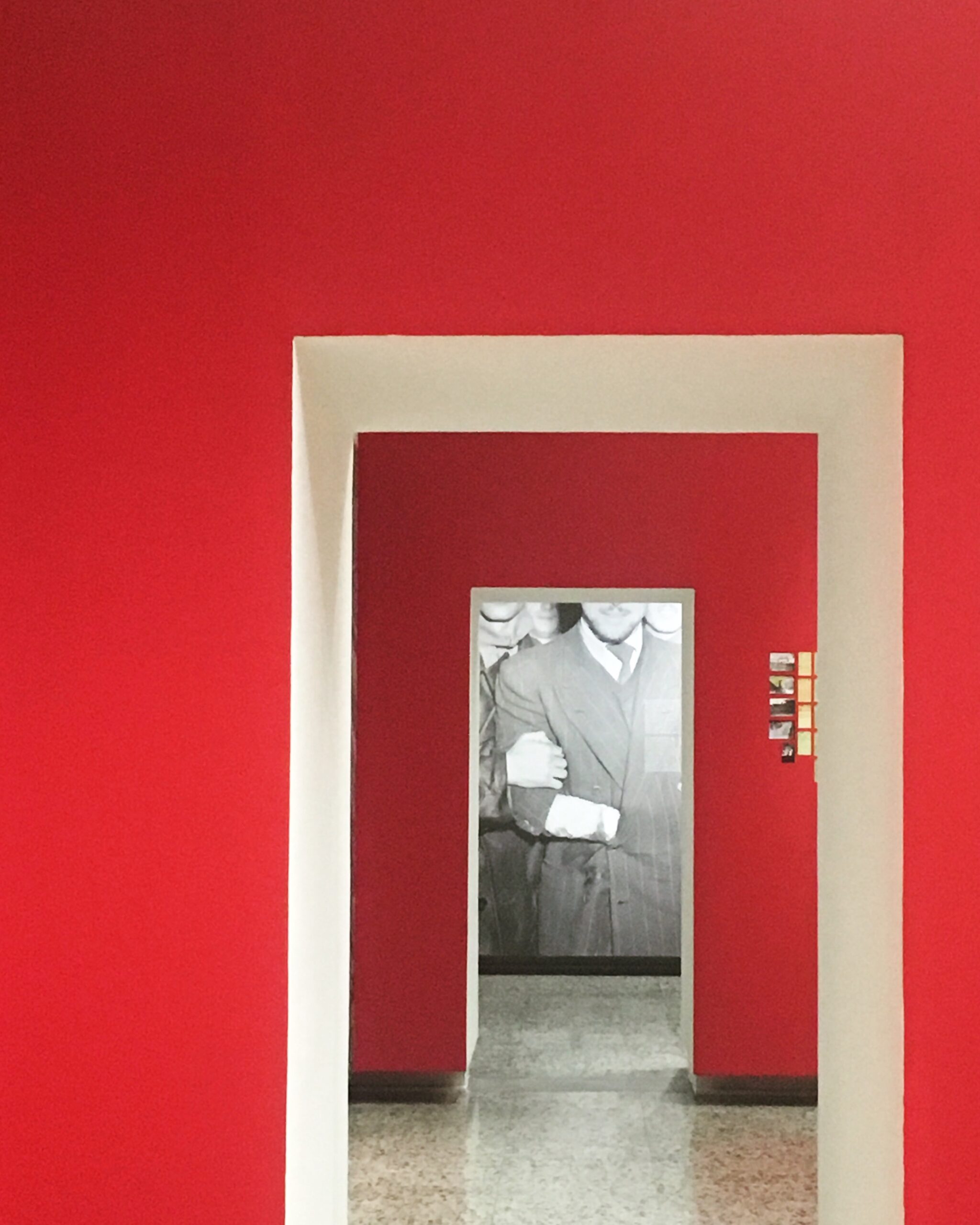 Torino Maggio pared negra scaled