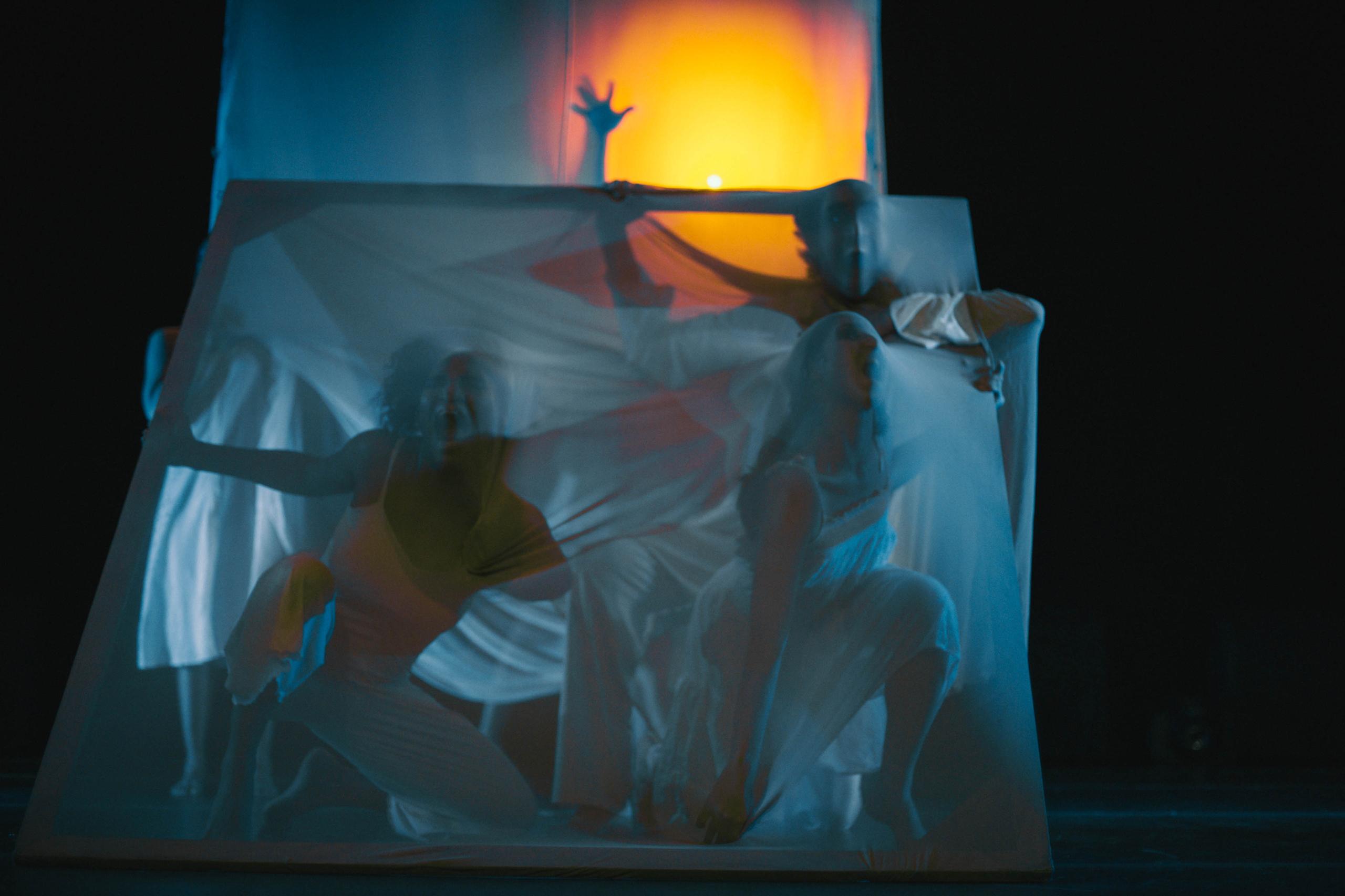 WhatsApp Image 2026 03 08 at 4.15.58 AM