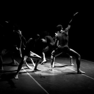 danza 12