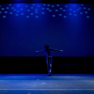danza 13