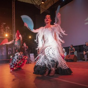 danza 15